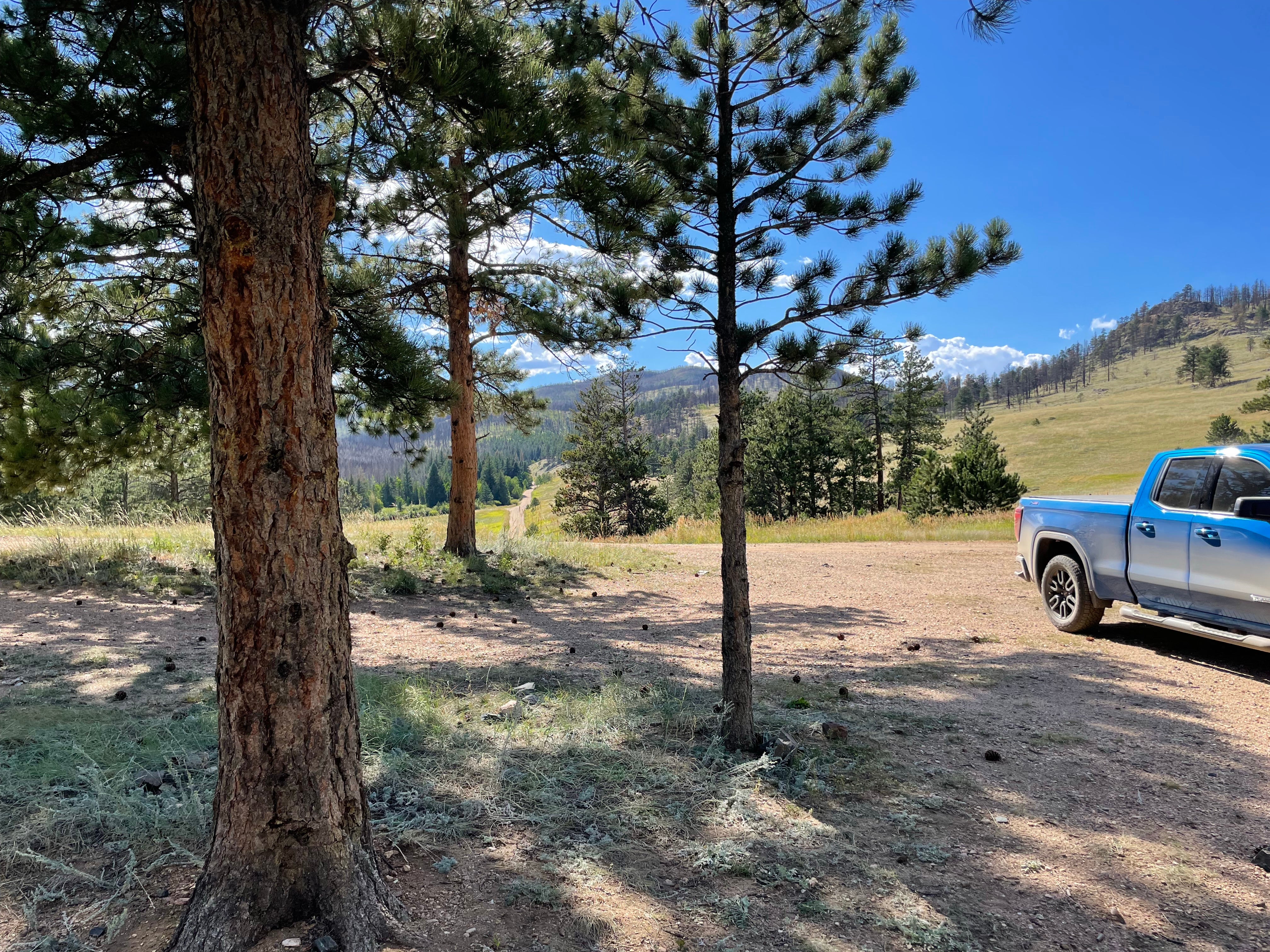 Camper submitted image from Poudre Canyon Road Camp - 2