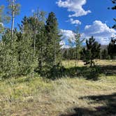 Review photo of Poudre Canyon Road Camp by Chris P., August 20, 2023