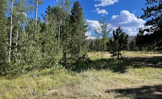 Chris P.'s photo of a dispersed camping area at Poudre Canyon Road Camp near Laporte, CO
