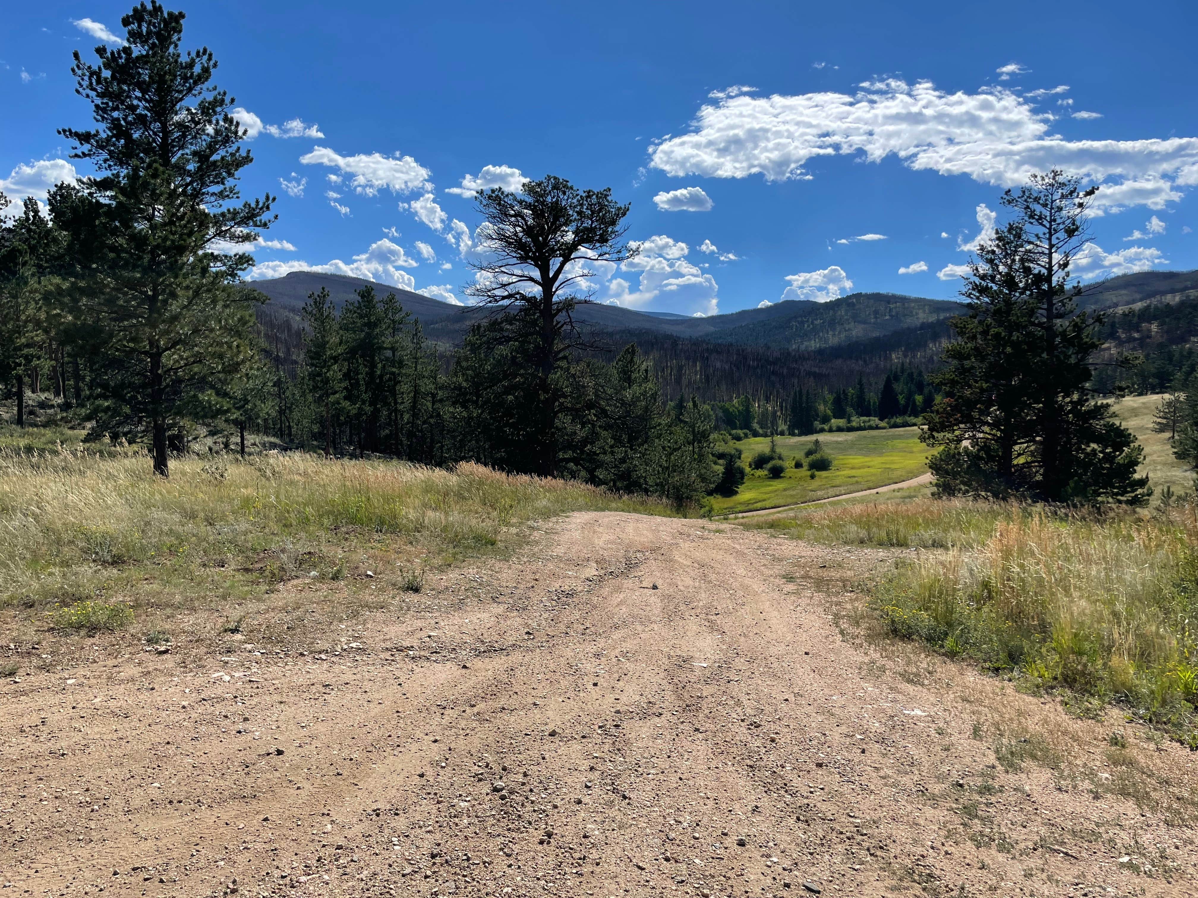 Camper submitted image from Poudre Canyon Road Camp - 3