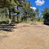 Review photo of Poudre Canyon Road Camp by Chris P., August 20, 2023