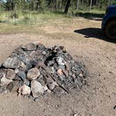 Review photo of Poudre Canyon Road Camp by Chris P., August 20, 2023