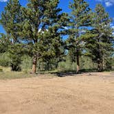 Review photo of Poudre Canyon Road Camp by Chris P., August 20, 2023