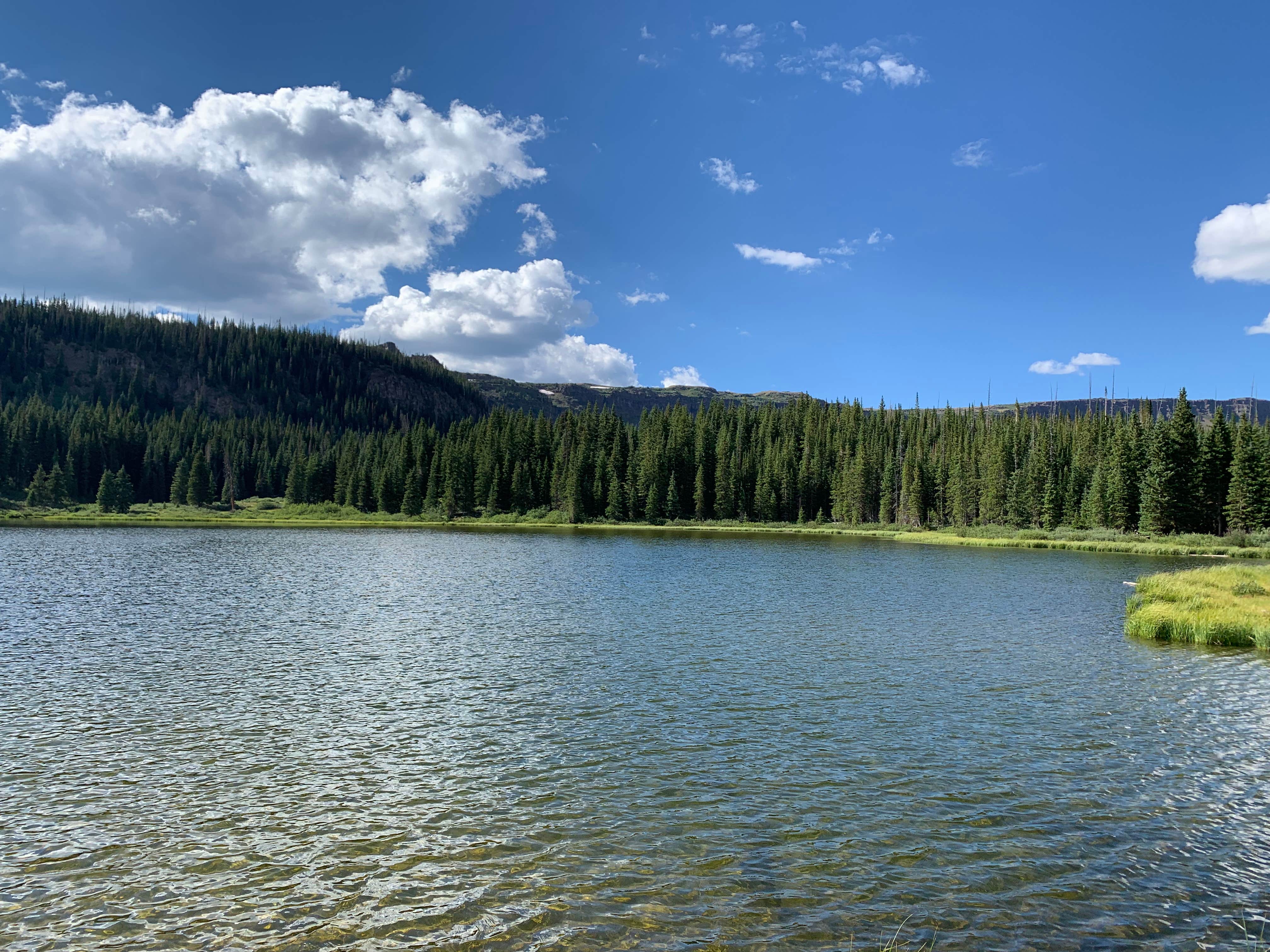 Camper-submitted photo at Cold Springs Campground near Yampa, CO