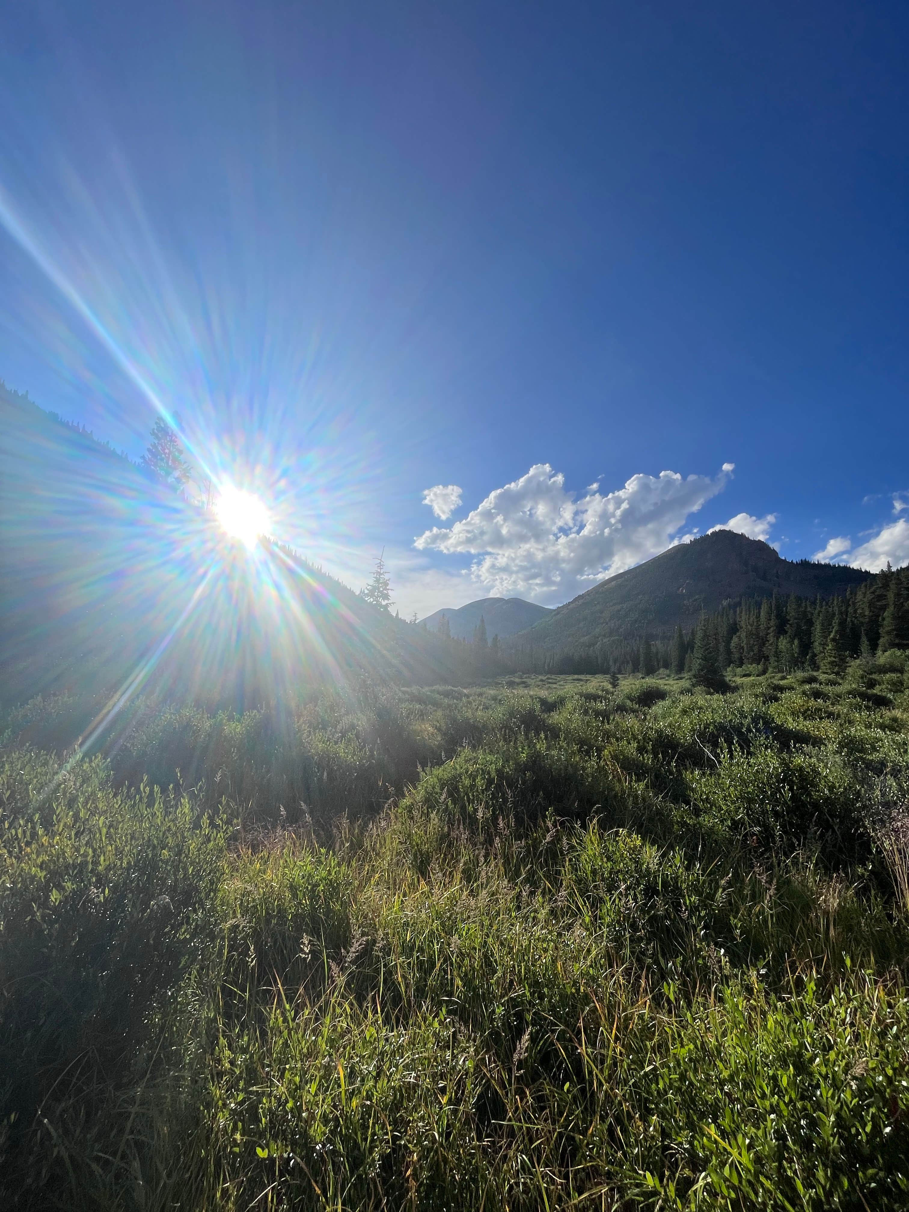 Chelsea M.'s photo of a dispersed camping area at Kirby Gulch near Montezuma, CO