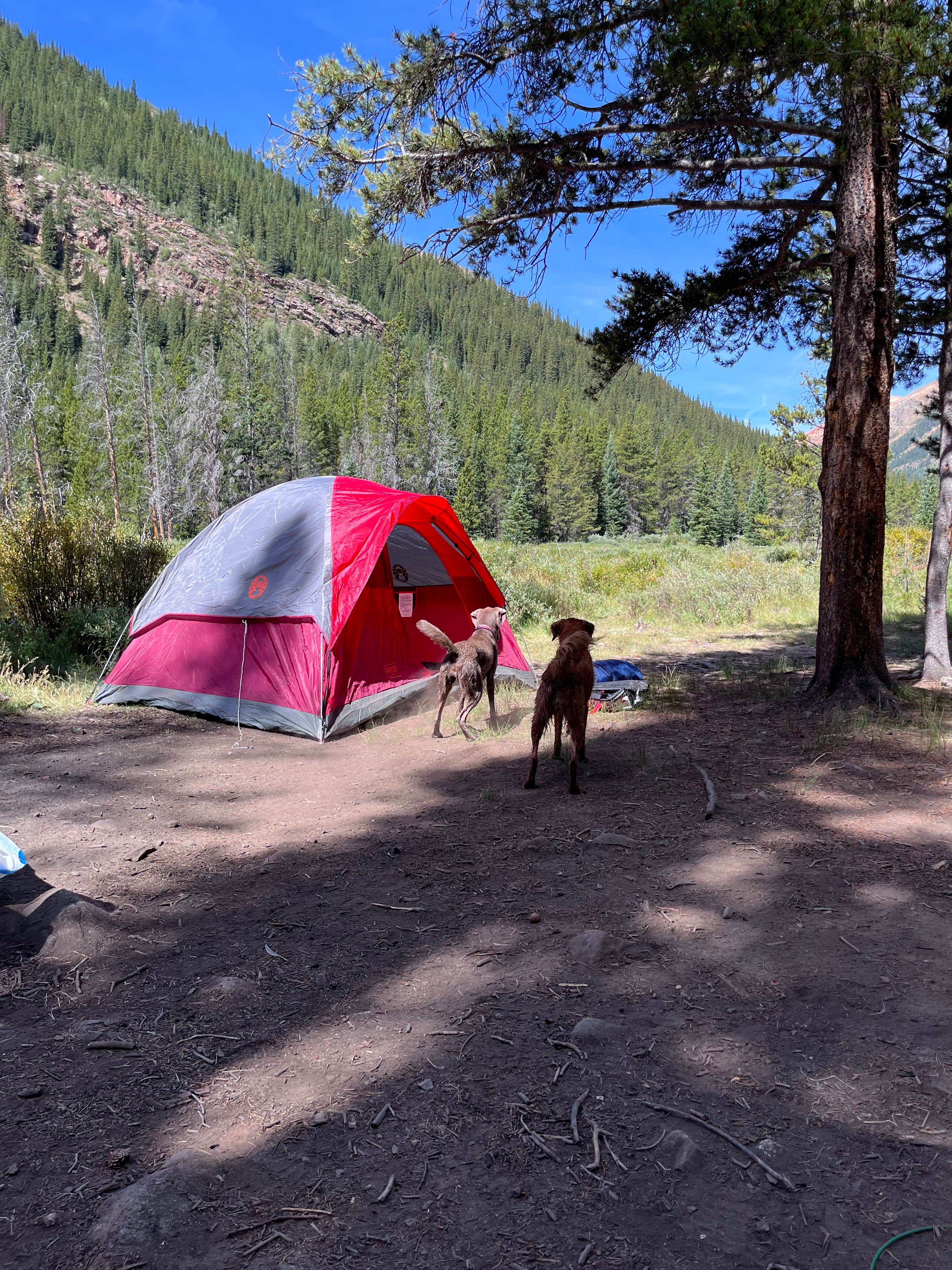 Chelsea M.'s photo at Kirby Gulch near Montezuma, CO