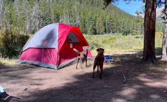 Chelsea M.'s photo at Kirby Gulch near Grant, CO