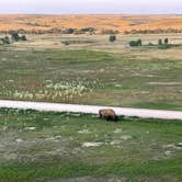 Review photo of Sage Creek Campground by Wojtek M., August 20, 2023