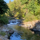 Review photo of Trask River County Park by Erik M., August 20, 2023
