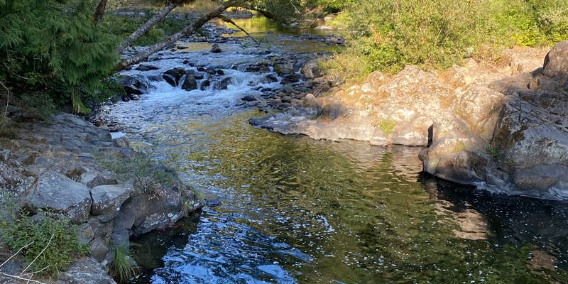 Camper submitted image from Trask River County Park