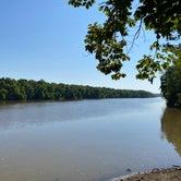 Review photo of Staunton River State Park Campground by Heather , August 20, 2023