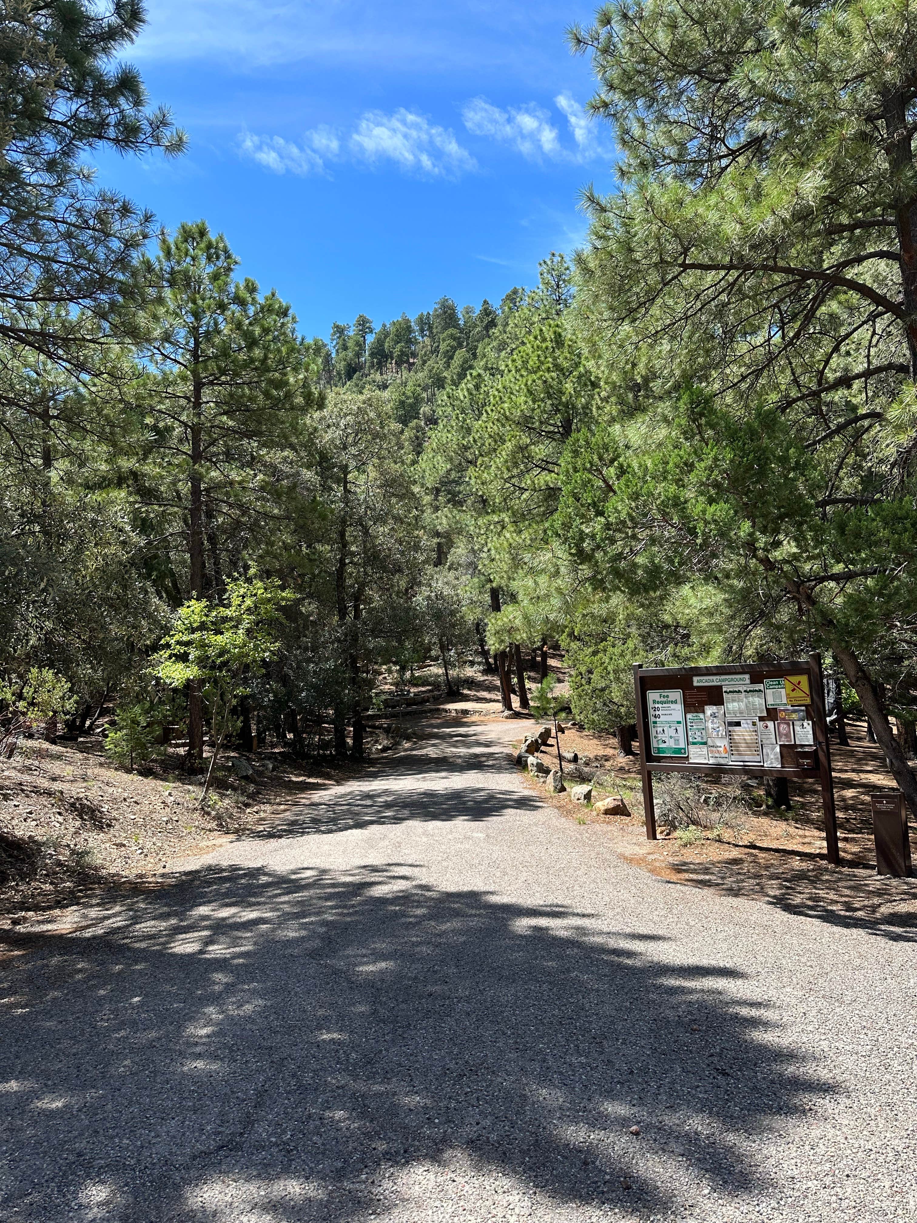 Camper-submitted photo at Arcadia Campground near Safford, AZ