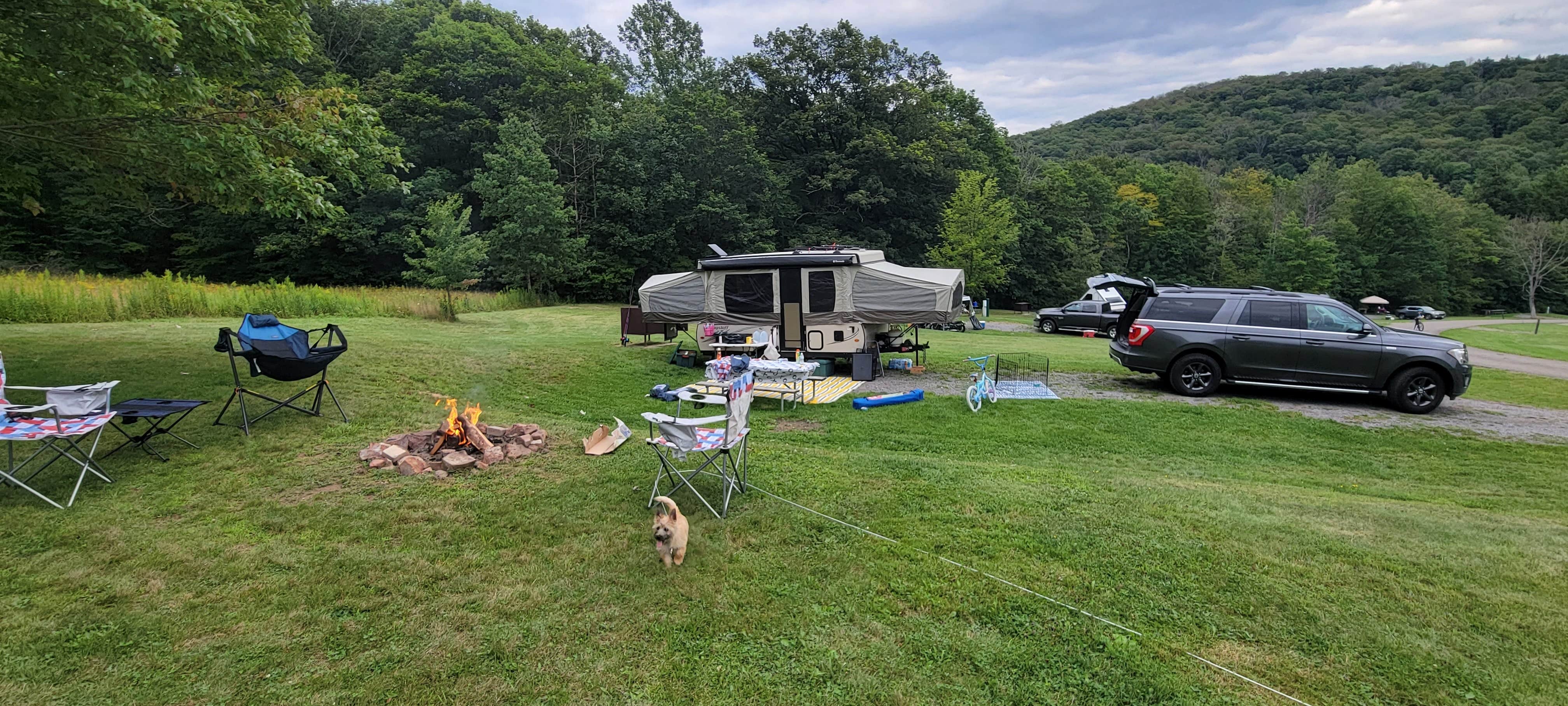 Erik E.'s photo of camping with pets at Red House Area — Allegany State Park State Park near Gowanda, NY