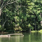 Review photo of Sandy Bottom Nature Park by liz J., August 21, 2023