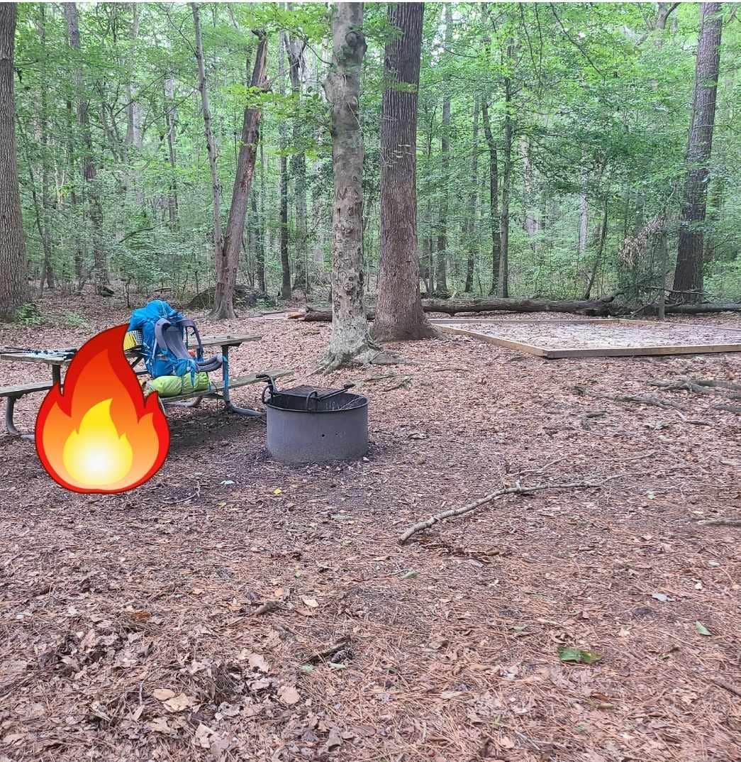 Camper-submitted photo at Sandy Bottom Nature Park near Newport News, VA