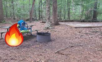 liz J.'s photo at Sandy Bottom Nature Park near Seaford, VA