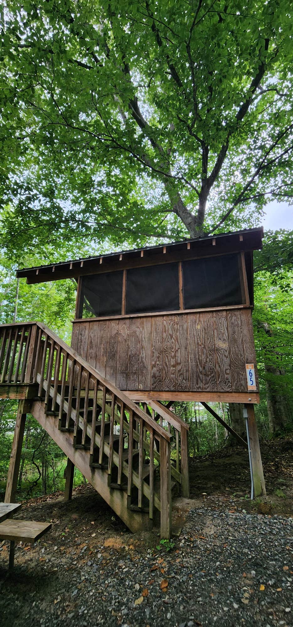The Dyrt's photo of glamping accommodations at Emberglow Outdoor Resort near Mill Spring, NC