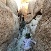 Review photo of Jumbo Rocks Campground — Joshua Tree National Park by Erin S., October 28, 2018