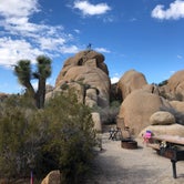 Review photo of Jumbo Rocks Campground — Joshua Tree National Park by Erin S., October 28, 2018