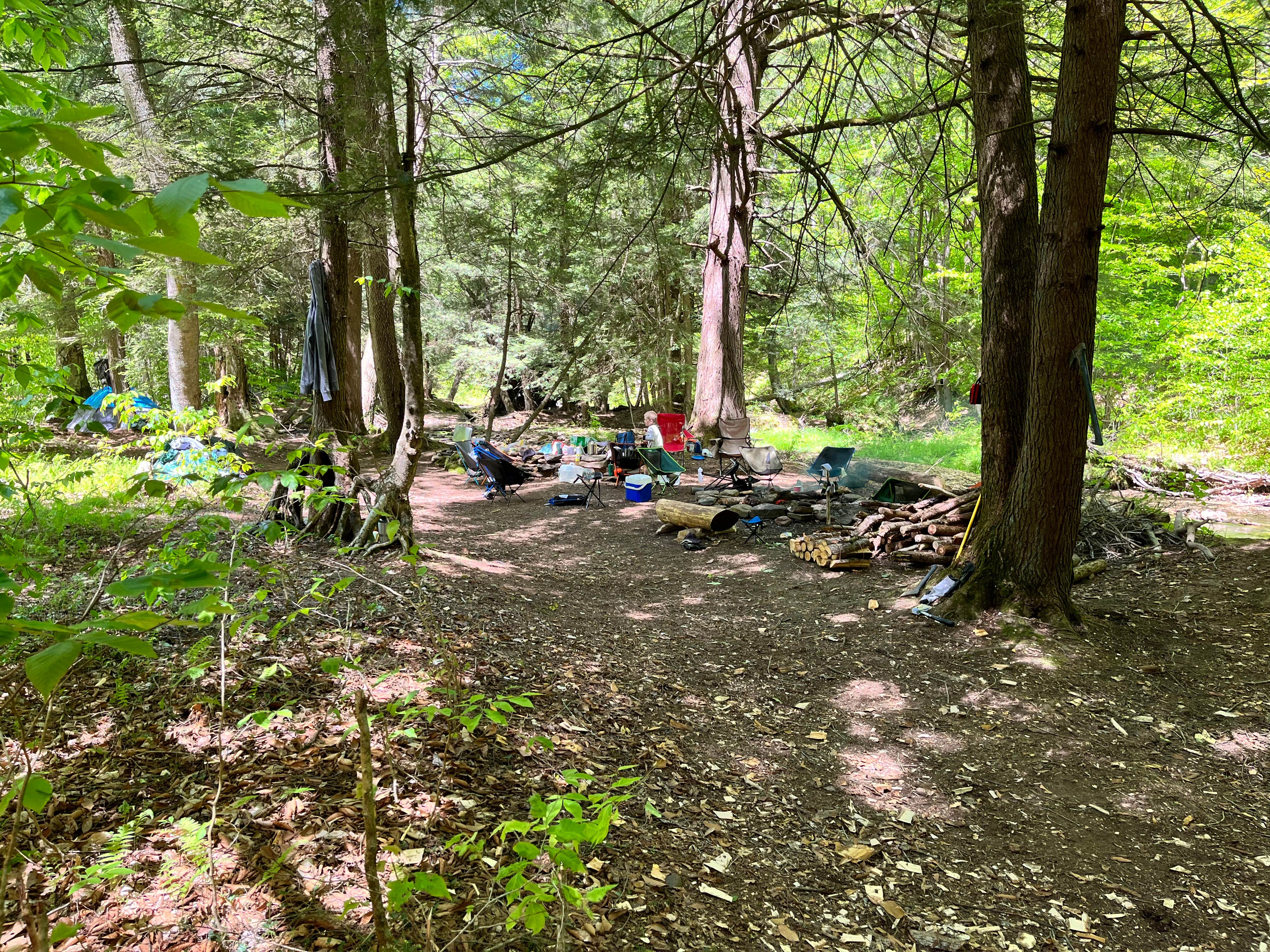 Ian B.'s photo at Minister Creek Campground near Kane, PA