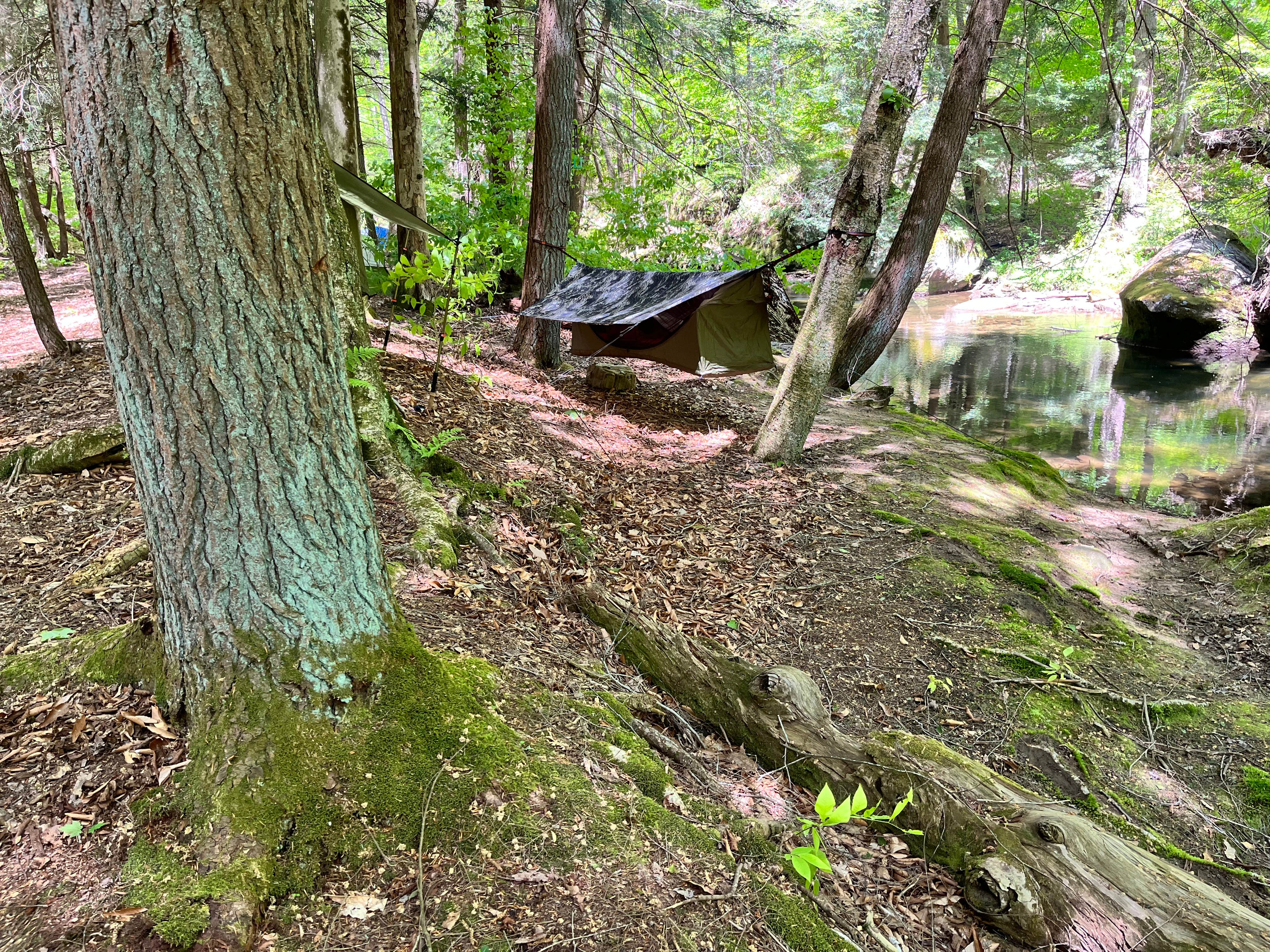 Ian B.'s photo of glamping accommodations at Minister Creek Campground near Panama, NY