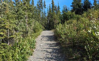 Kristi D.'s photo of camping with pets at Matanuska Glacier State Rec Area in Alaska