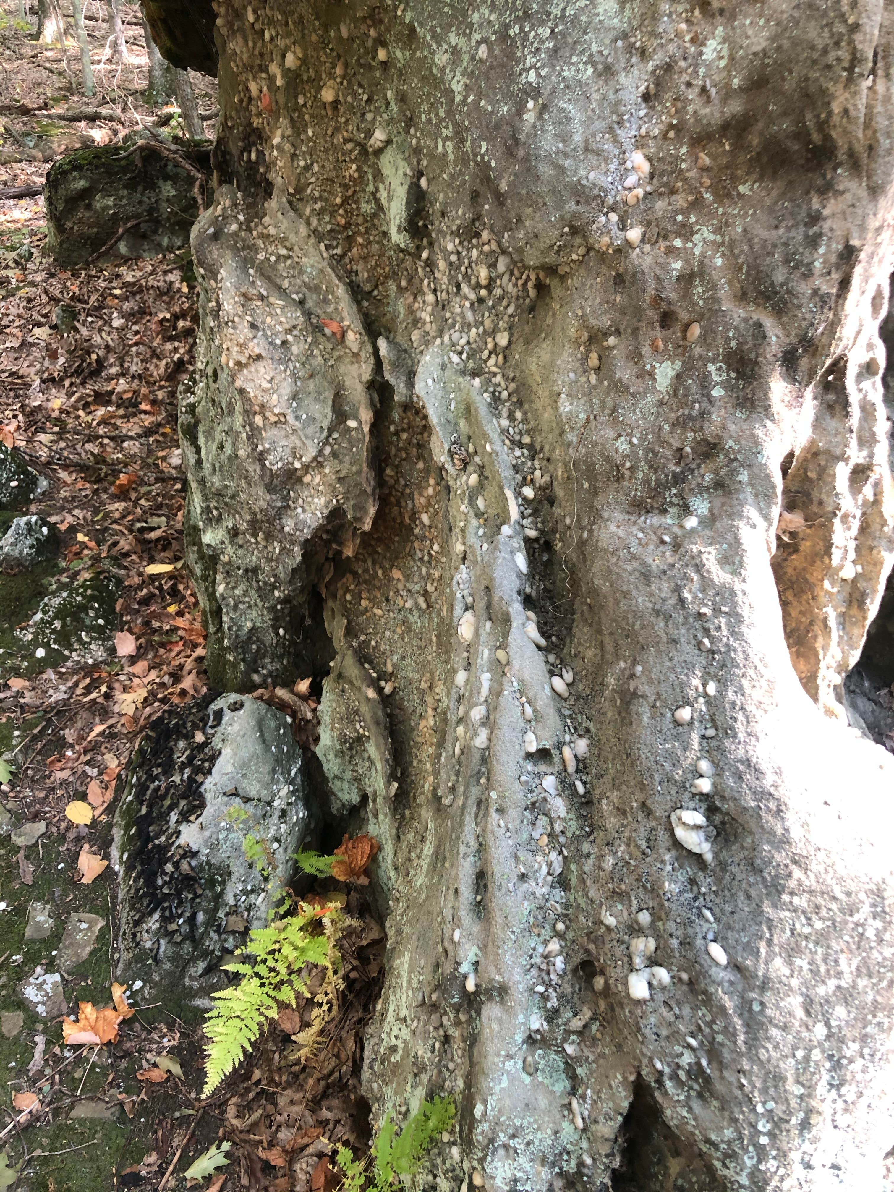 Camper-submitted photo at Morrison Campground near Allegheny National Forest