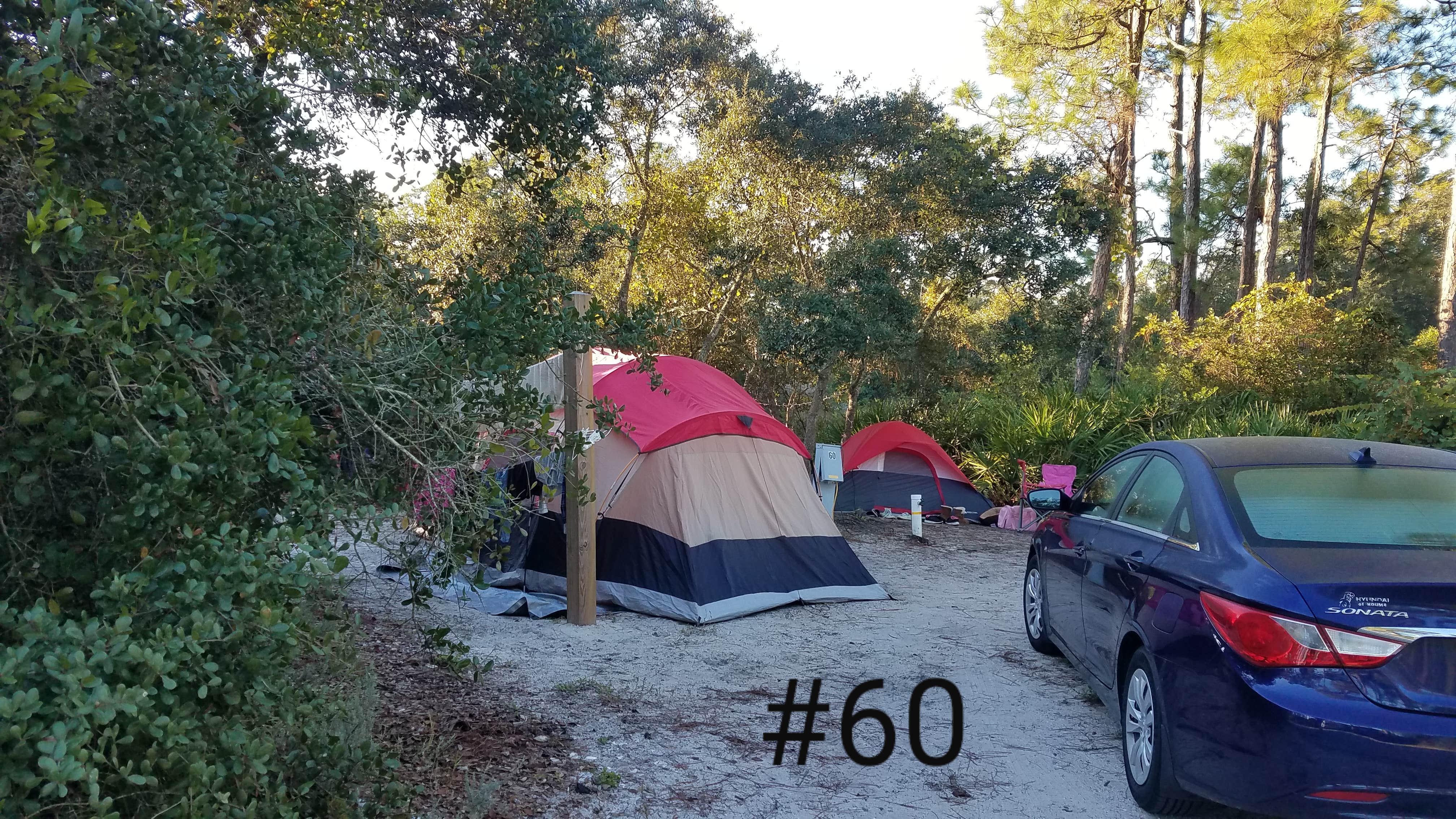 Camper submitted image from Big Lagoon State Park Campground - 4