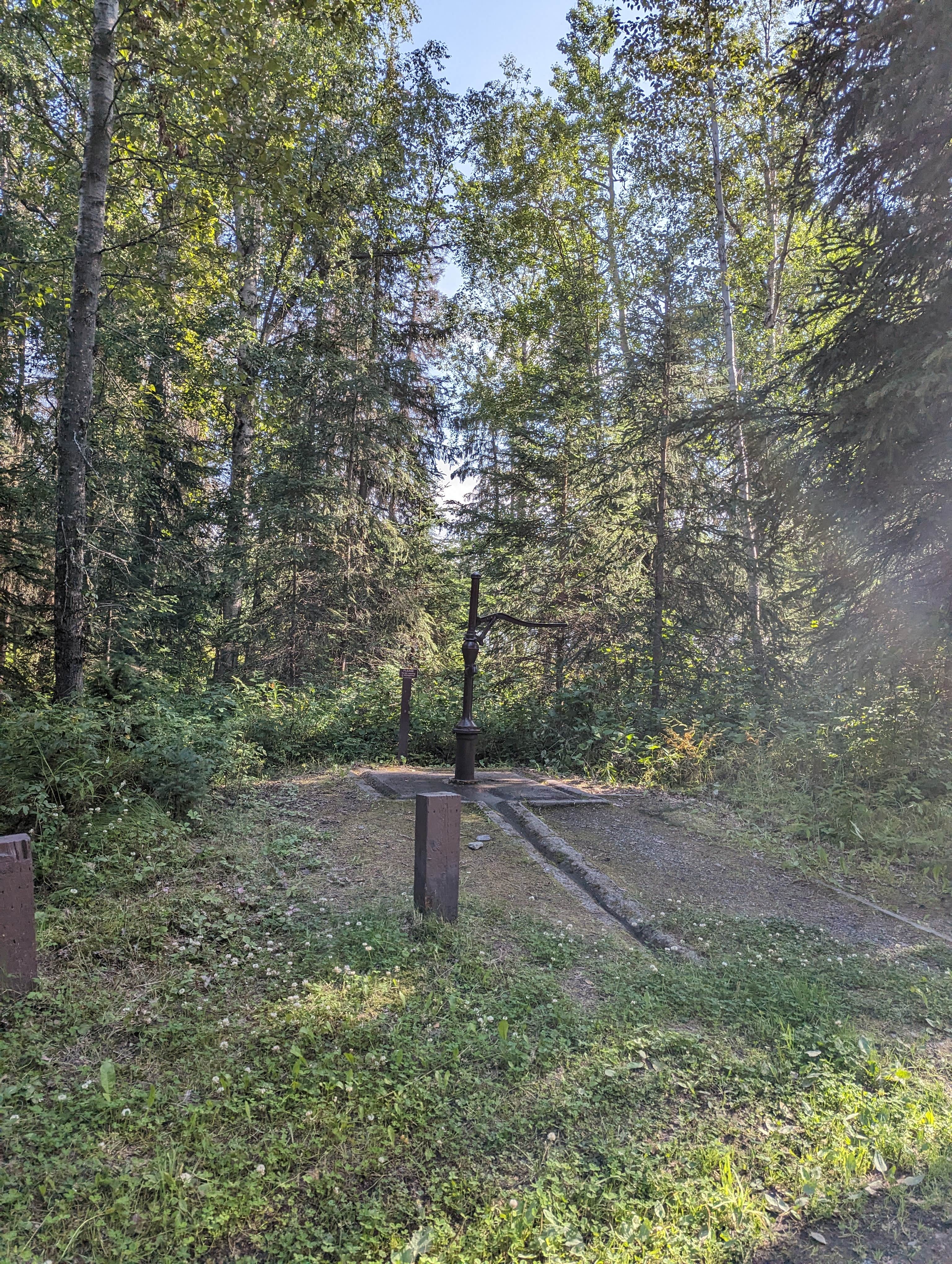 Camping near Romig Cabin: Cooper Creek South, Cooper Landing, Alaska