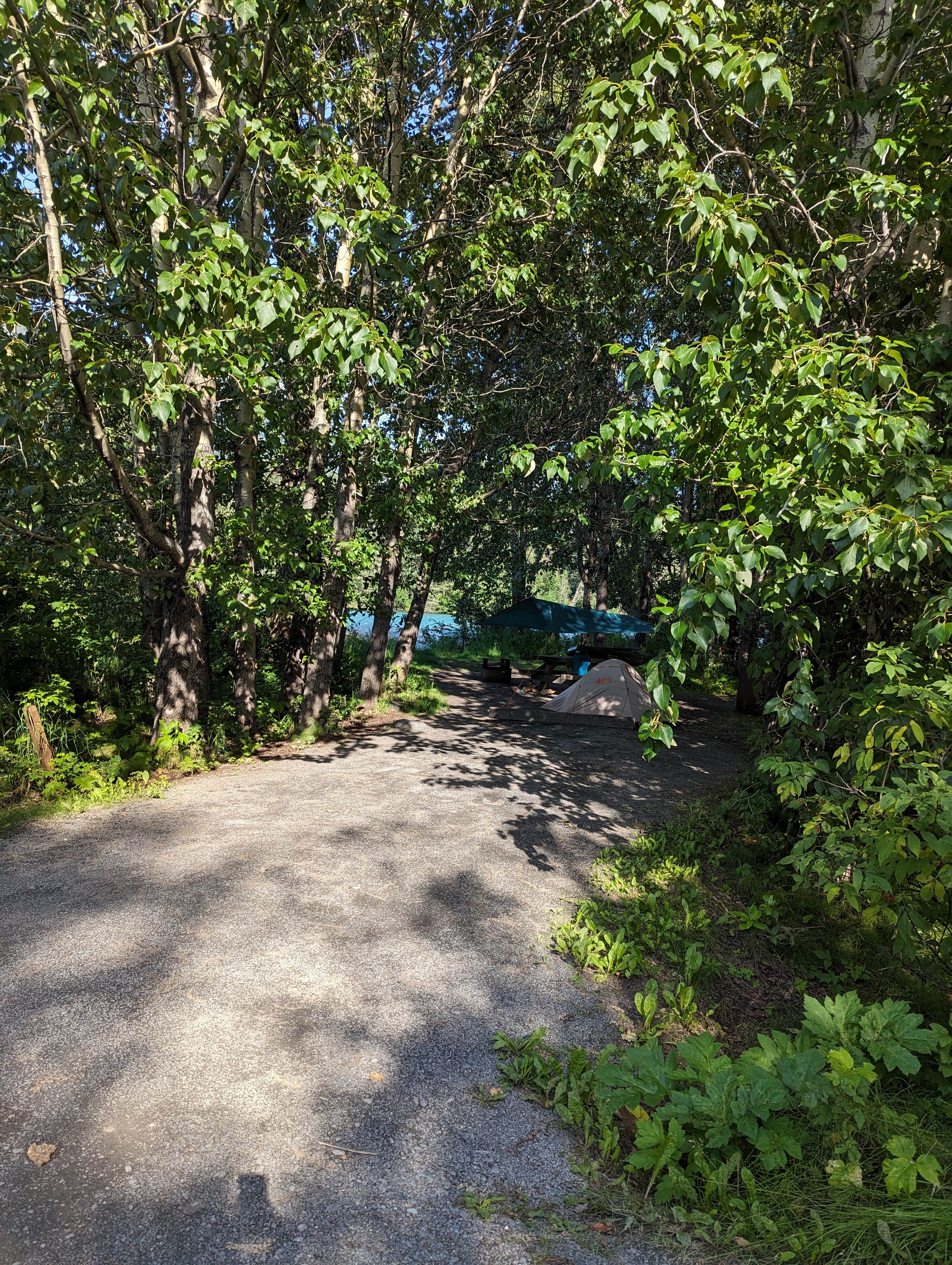 Camper-submitted photo at Cooper Creek South near Chugach National Forest