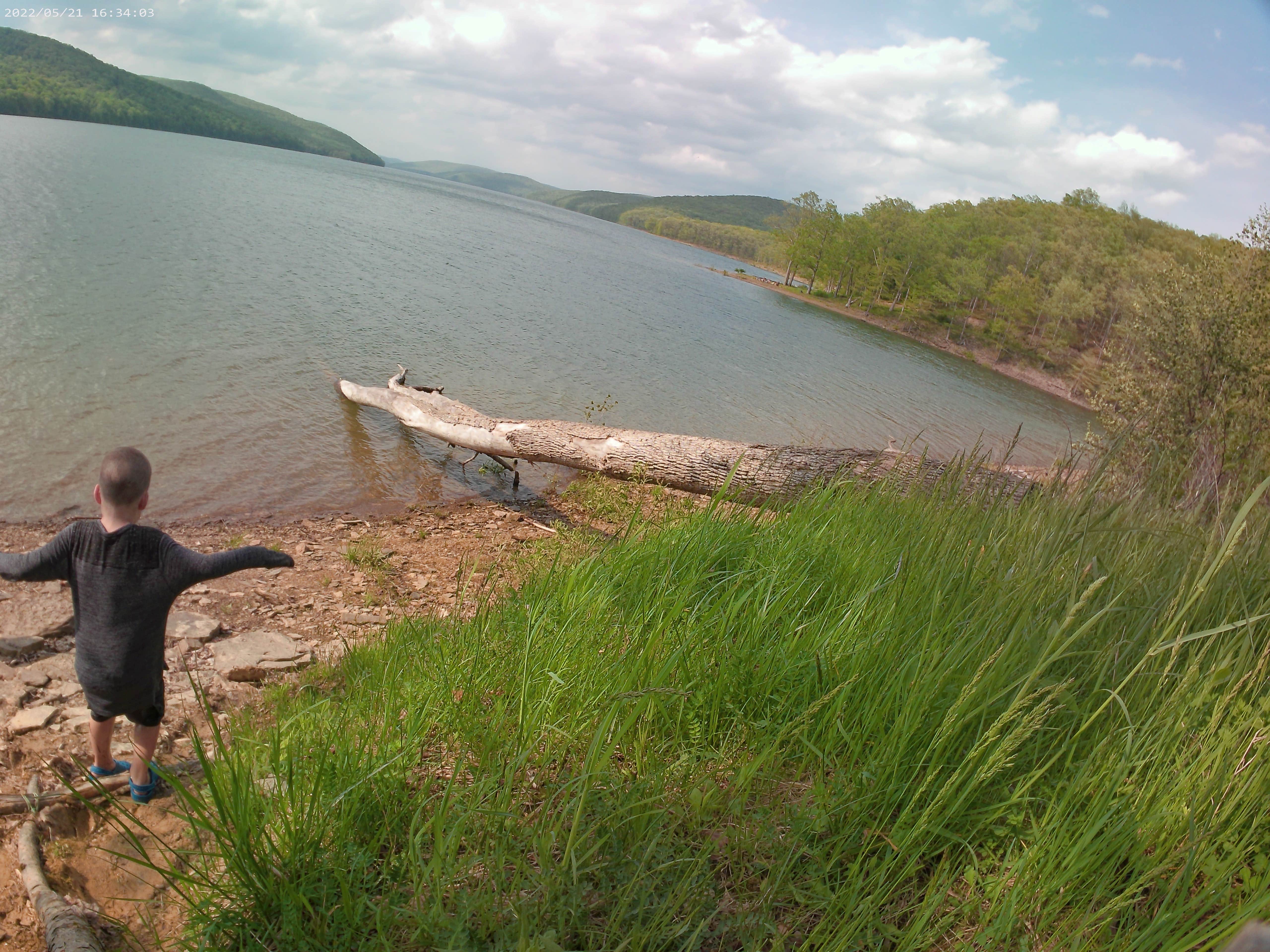 Camper submitted image from Handsome Lake Campground - 2