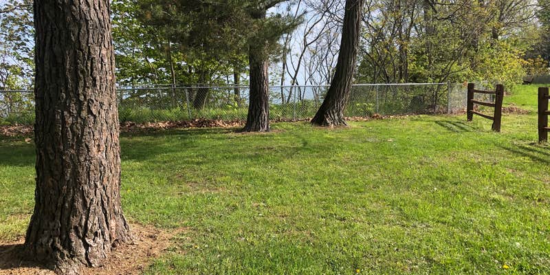 Camper submitted image from Camp Sherwin