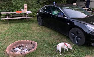 Whitney's photo of camping with pets at Anchor Inn Campground near Superior, WI