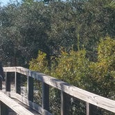 Review photo of Big Lagoon State Park Campground by Mary S., October 28, 2018