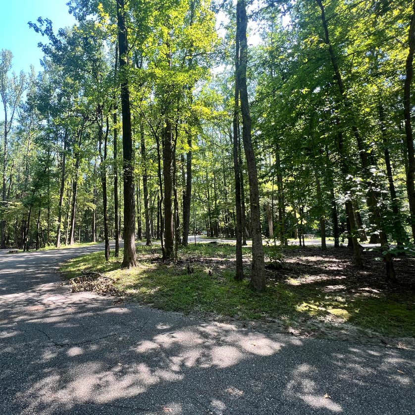 Meeman-Shelby Forest State Park | Millington, TN