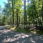 Review photo of Meeman-Shelby Forest State Park by Nikki R., August 21, 2023