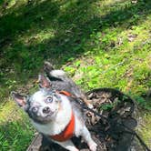 Review photo of Meeman-Shelby Forest State Park by Nikki R., August 21, 2023