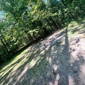 Review photo of Meeman-Shelby Forest State Park by Nikki R., August 21, 2023