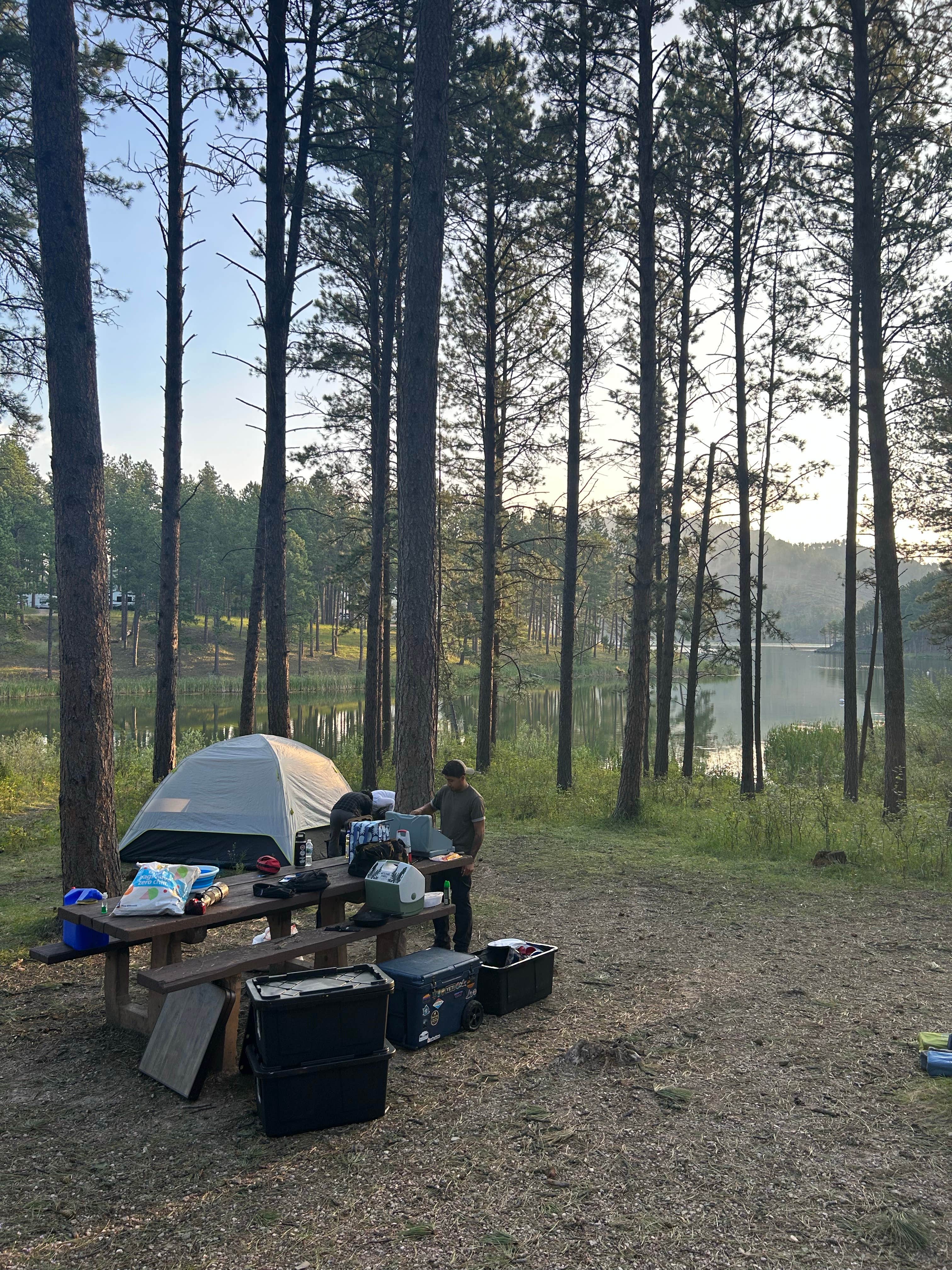 Alexis R.'s photo at Sheridan Lake South Shore Campground near Rapid City, SD