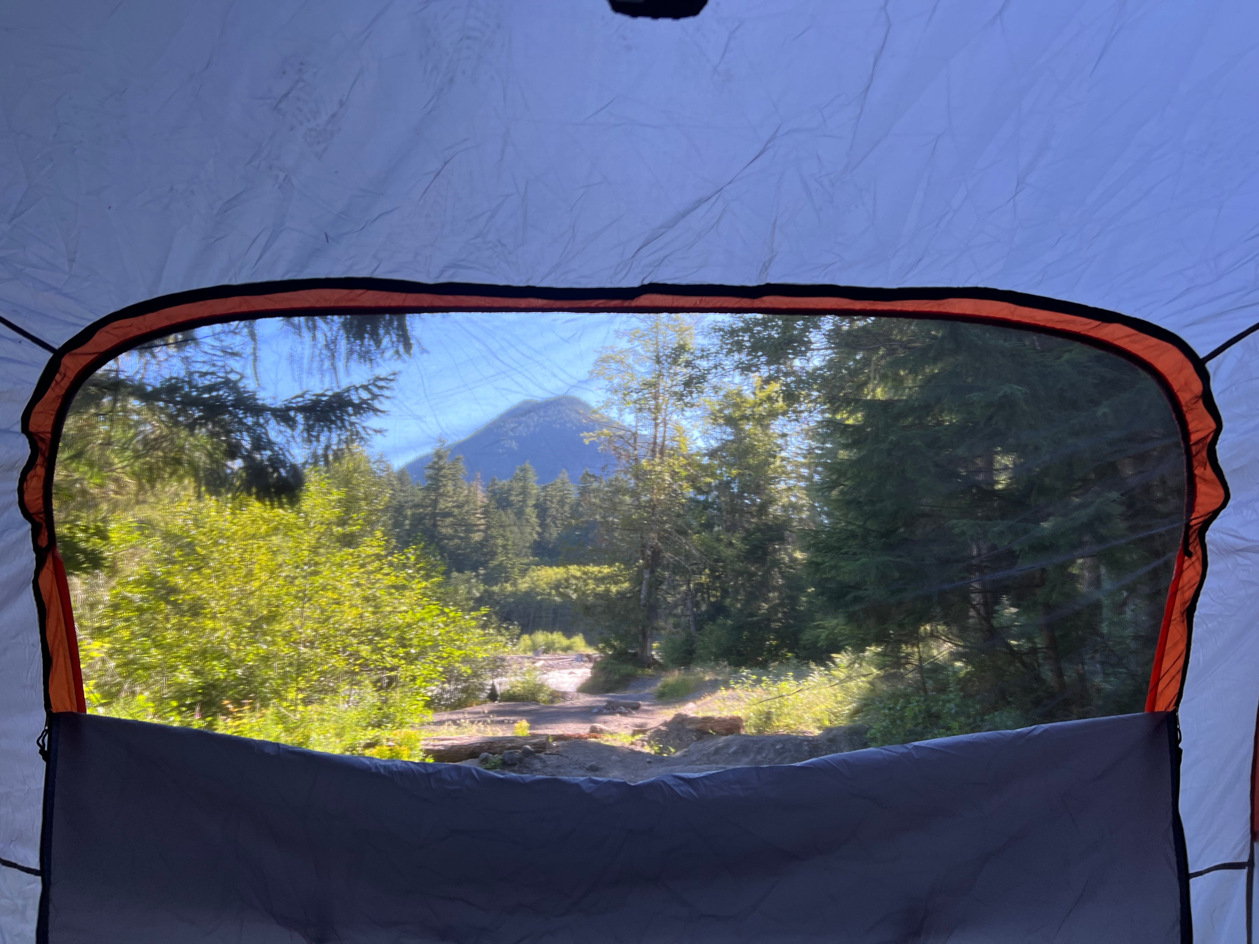 Camper submitted image from NF-52 Dispersed Camping - 1