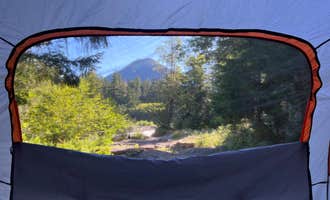 Camping near Pyramid Creek Backcountry Campsites — Mount Rainier National Park: NF-52 Dispersed Camping, Longmire, Washington