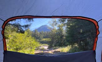 Diana M.'s photo at NF-52 Dispersed Camping near Elbe, WA