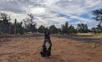 ColorStar R.'s photo of camping with pets at Starscape Stays near Cameron, AZ