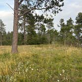 Review photo of Hartman Rock Dispersed Site by Alyson M., August 21, 2023