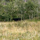 Review photo of Hartman Rock Dispersed Site by Alyson M., August 21, 2023