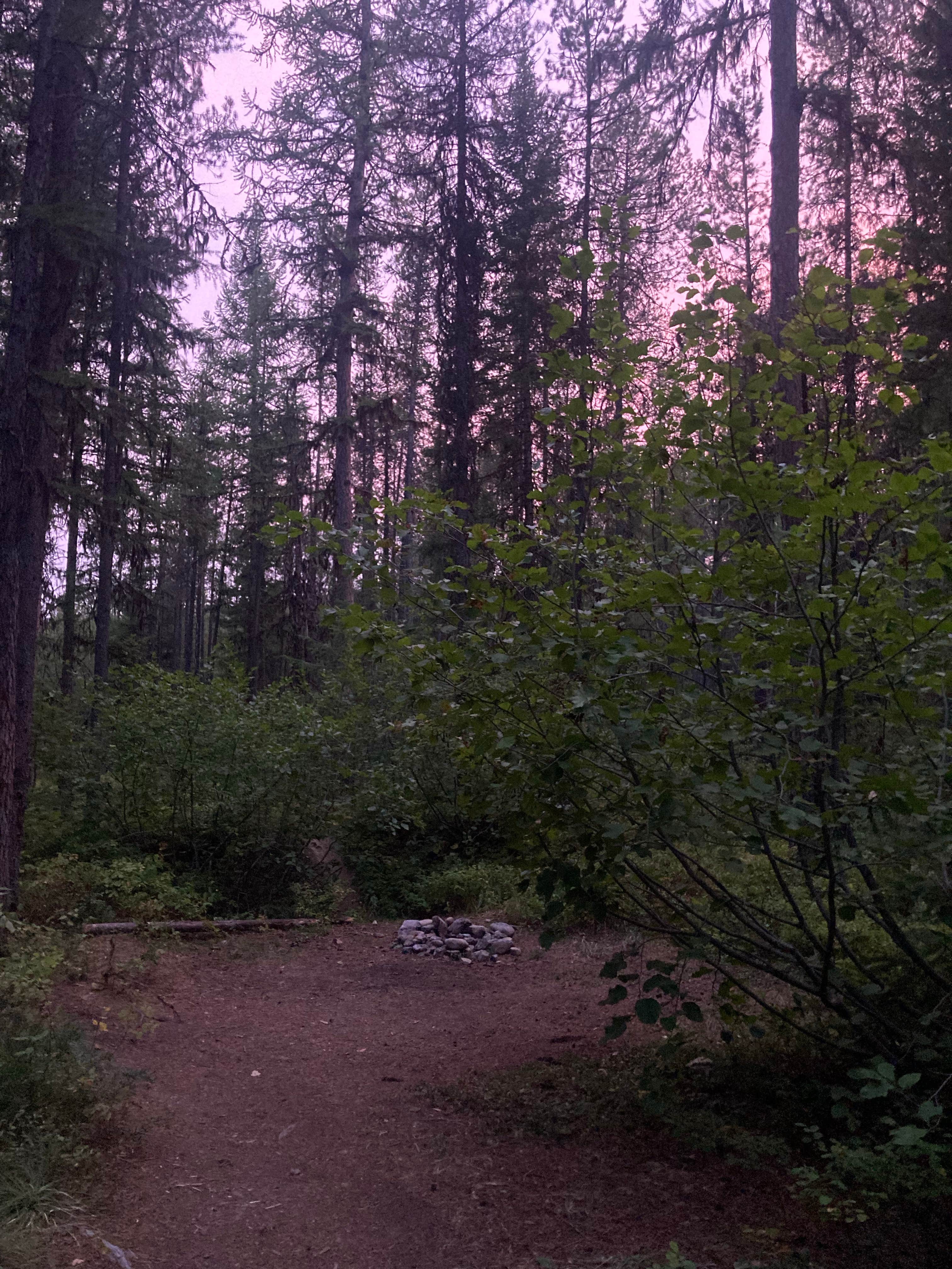 Camper submitted image from Ryan Road Dispersed Camping - 4