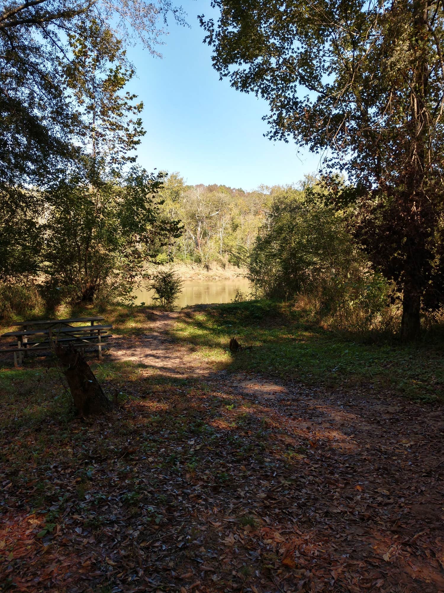 Camper submitted image from Chattahoochee Bend State Park Campground - 3