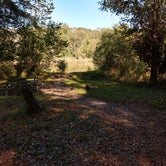 Review photo of Chattahoochee Bend State Park Campground by Holly B., October 28, 2018