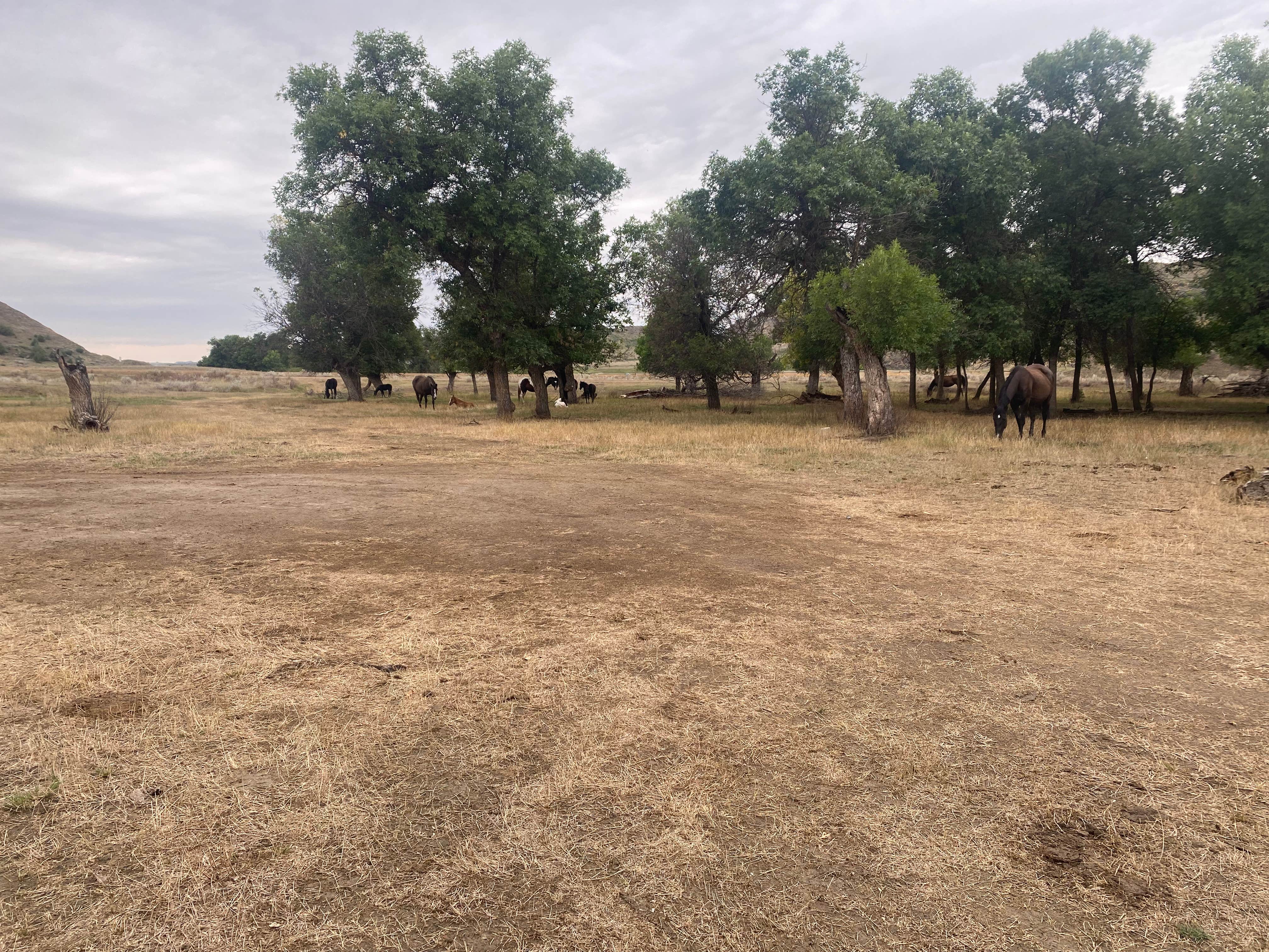 Camper submitted image from West River Rd Medora ND Dispersed - 2