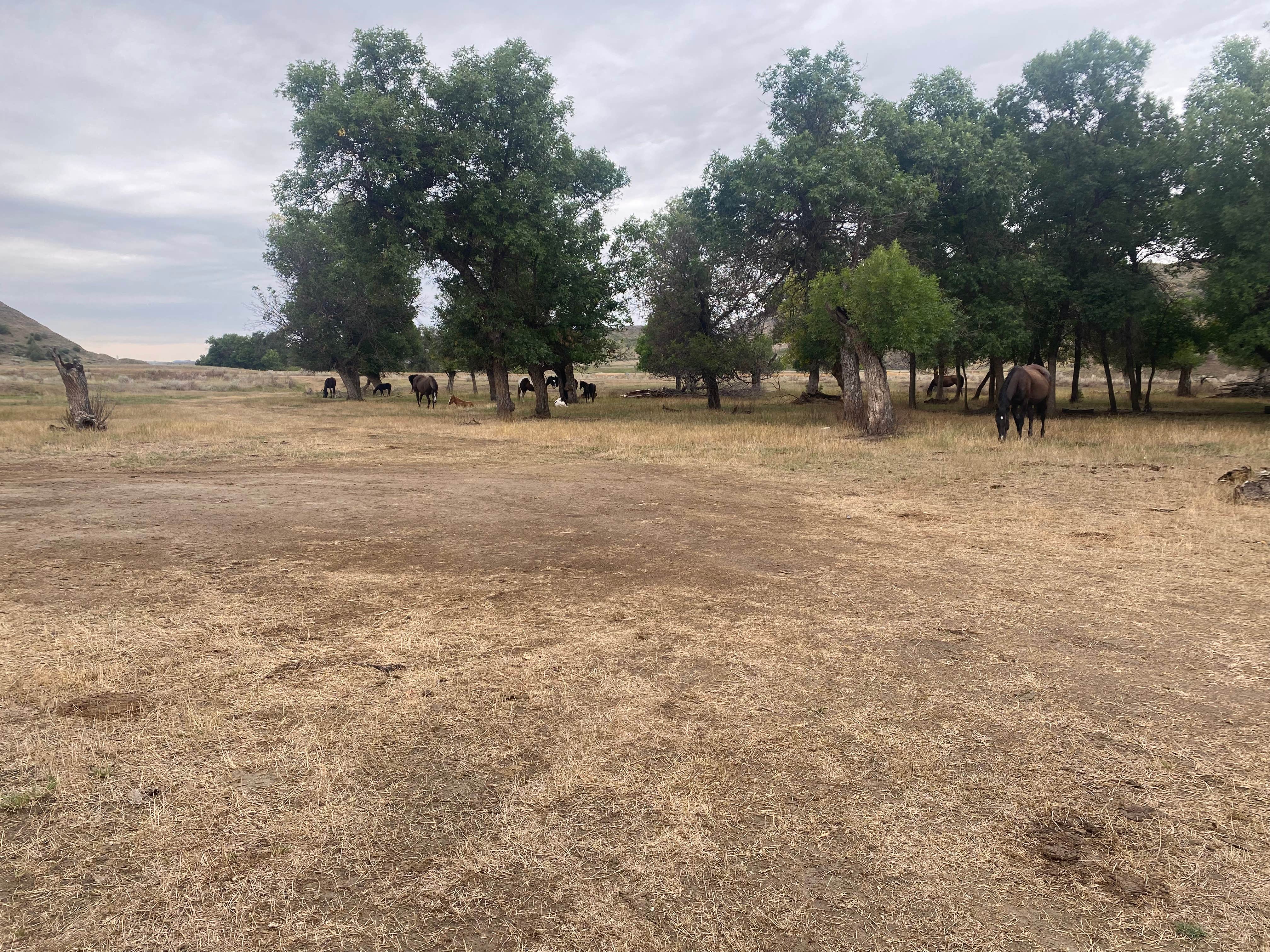 Camper submitted image from West River Rd Medora ND Dispersed - 1